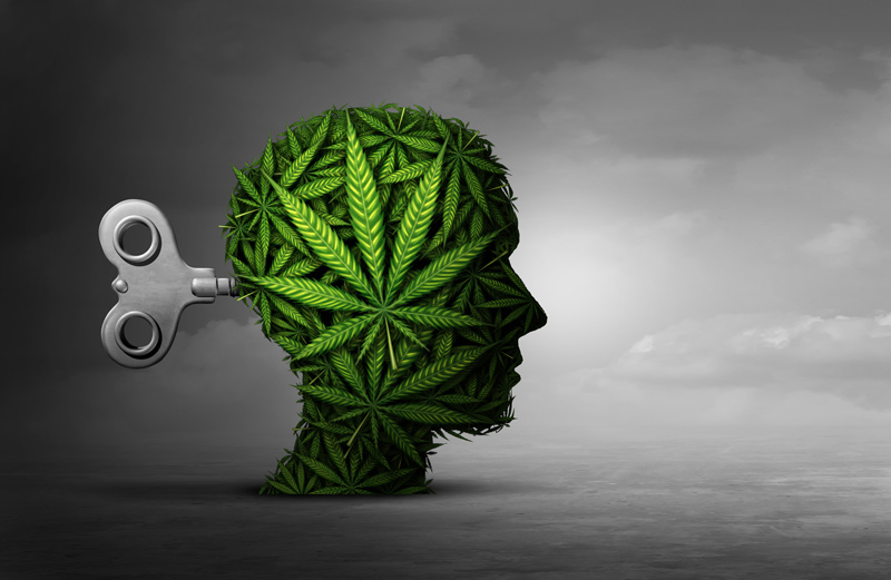 Cannabis and mental function