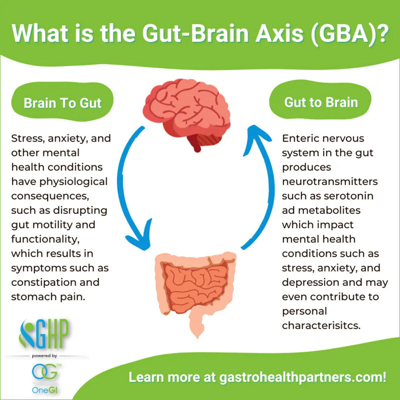Gut Brain Axis