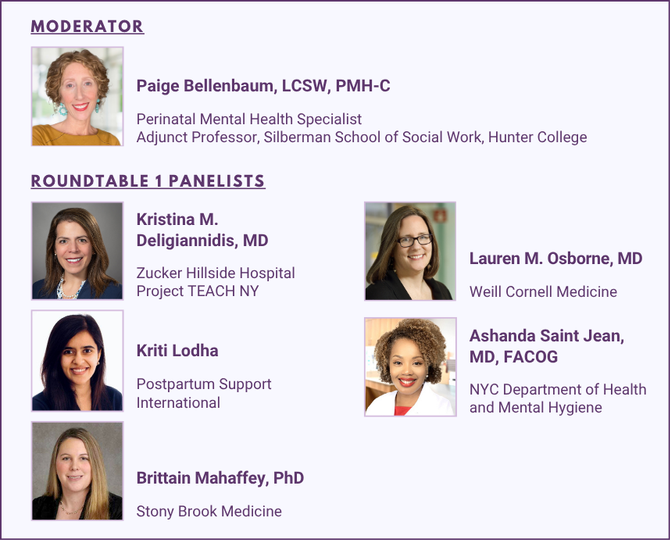 Roundtable 1 Panelists - Understanding Maternal Mental Health and Stigma