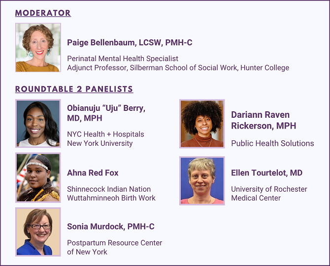 Roundtable 2 Panelists - Maternal Mental Health Support Programs and Solutions to Overcome Stigma